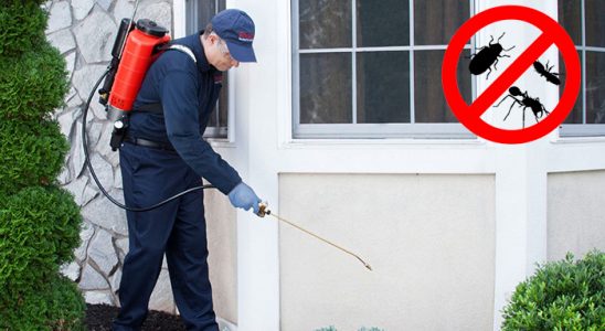 Yenipazar Fare İlaçlama böcek ilaçlama ve haşere kontrolü — ilaclama-tr.com